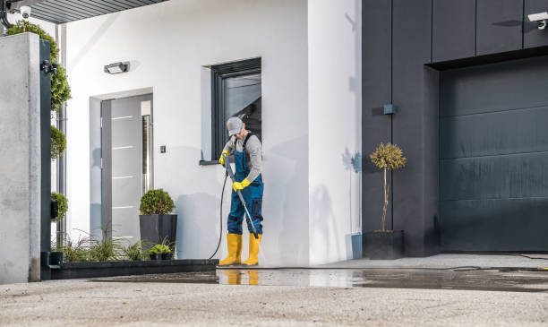 Best Soft Washing  in Northfield, KY